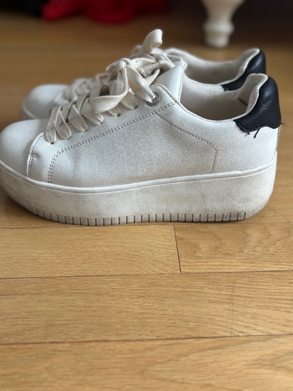 Steve Madden Sneakers